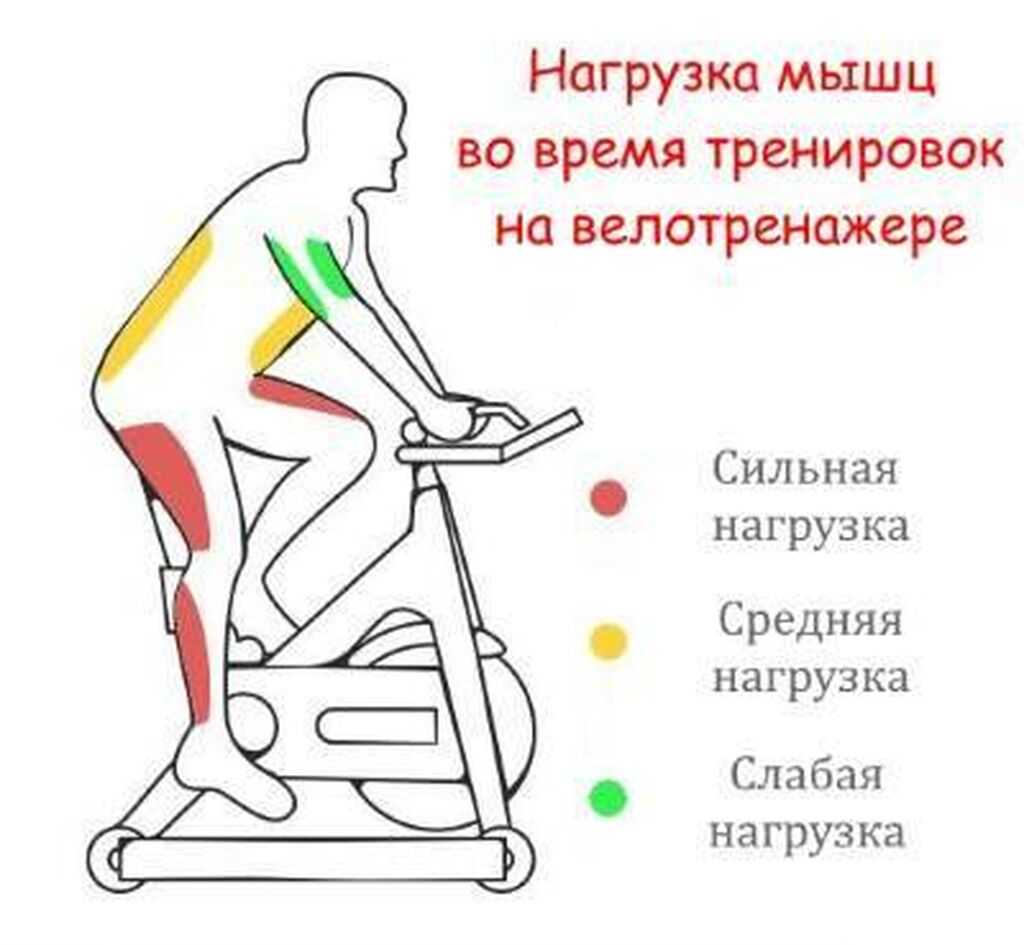 Тренировка на велотренажере для похудения: варианты занятий, обзоры приложений, и советы как тренироваться