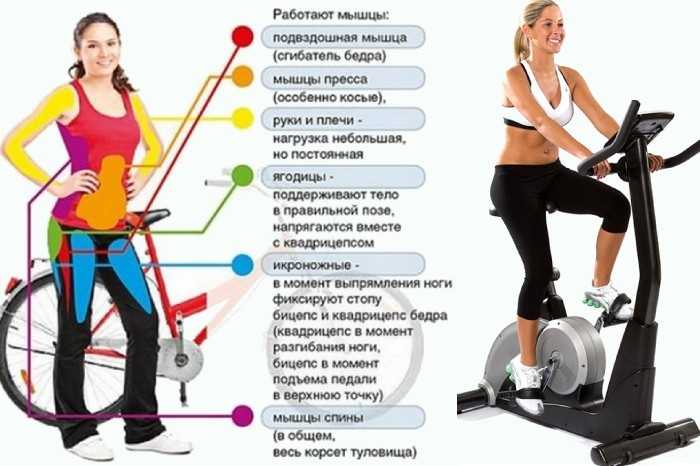 Велотренажер: как правильно заниматься, чтобы похудеть, программа тренировок для похудения