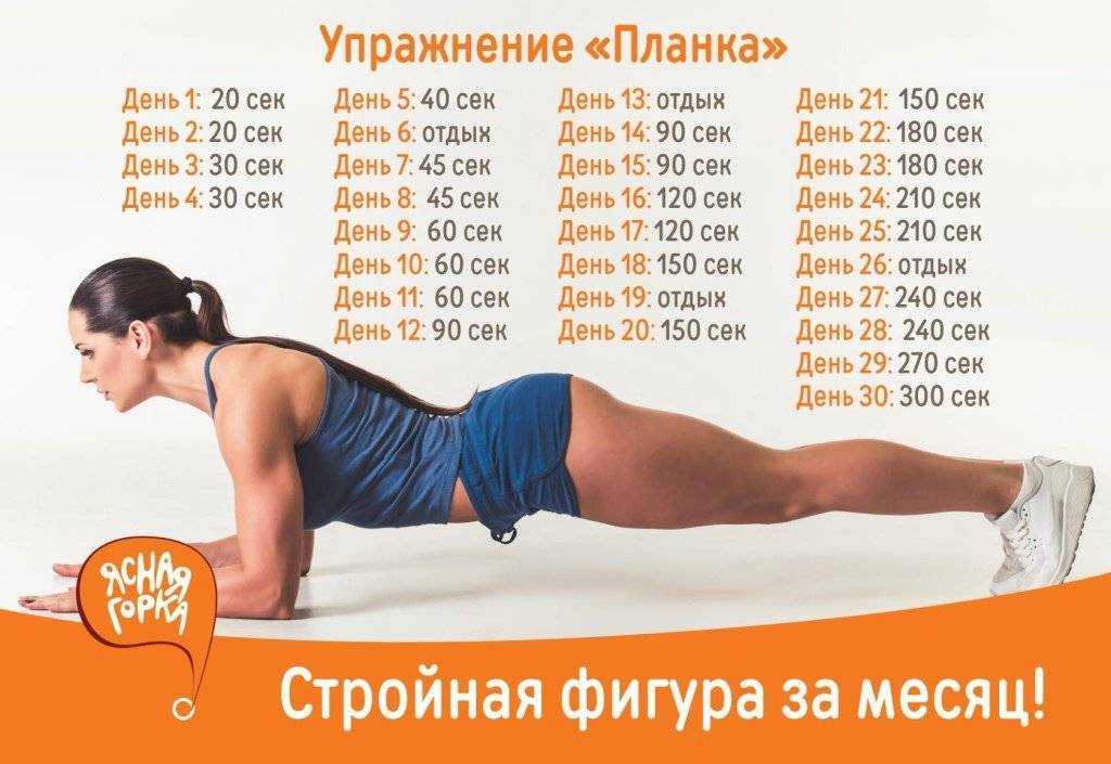 Упражнение планка на 30 дней для мужчин и женщин: таблица и отзывы