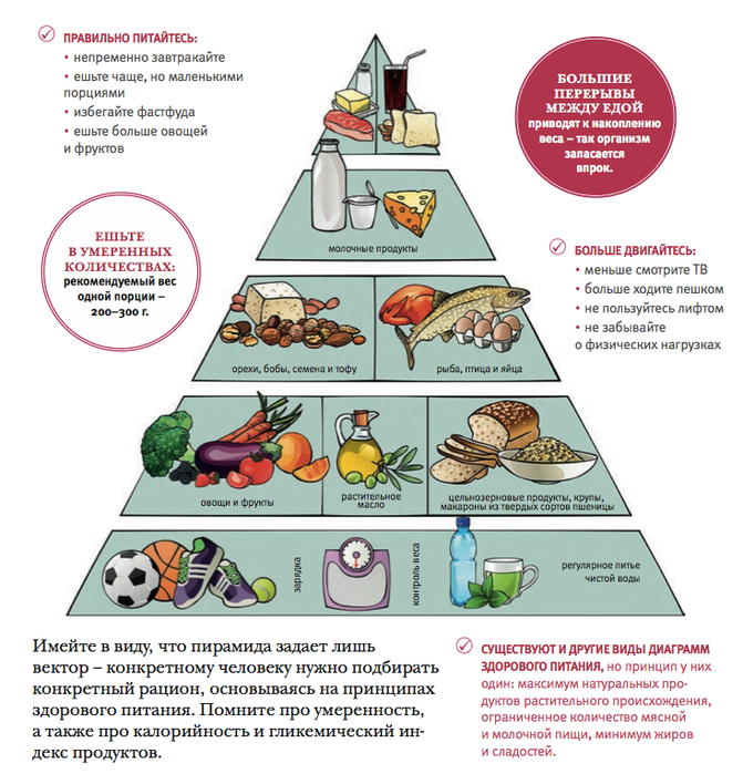 Какие продукты необходимо есть. Пирамида правильного питания. Рацион здорового питания. Принципы здорового питания. Рацион правильного питания пирамида.