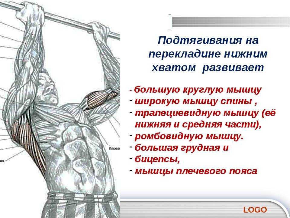 Подтягивания широким хватом. изучаем все тонкости и секреты.