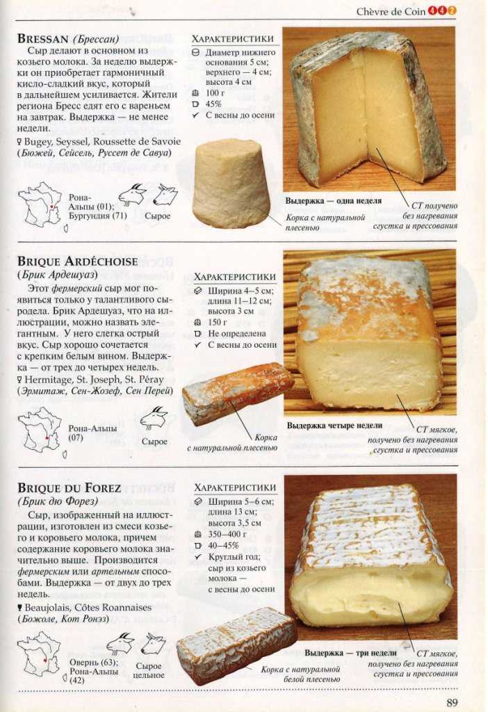 Как приготовить сыр в домашних условиях из козьего молока пошаговый рецепт с фото