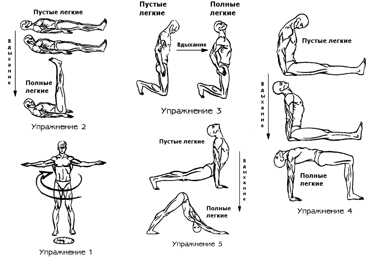 7 Жемчужин Тибета упражнения. Пять тибетцев гимнастика 5 упражнений. Око Возрождения 5 тибетских упражнений. 6 Тибетских жемчужин упражнения. Упражнение пятерка