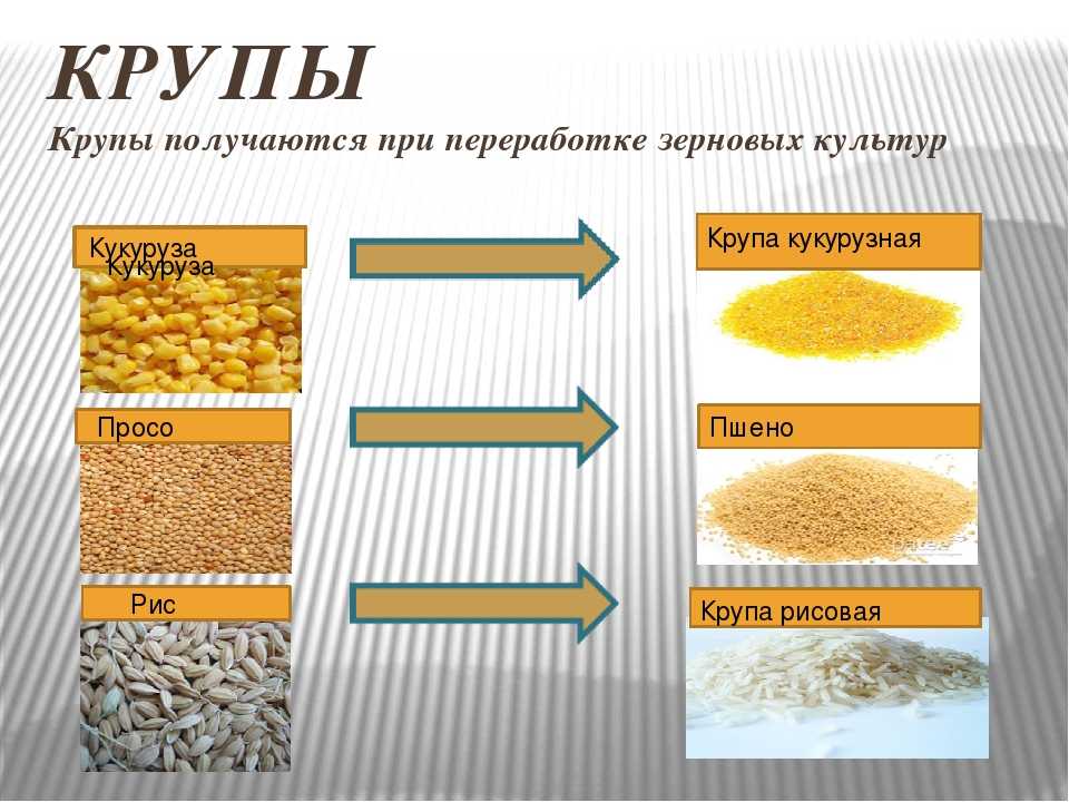 Перечислите этапы производства круп. Гречневая, рисовая и пшенная крупа. Пшенная крупа и пшено разница. Крупы из зерна пшеницы. Крупы и злаки.