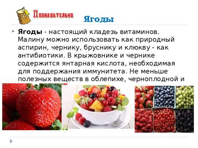 Сплошная выгода! какие ягоды особенно полезны и сколько их можно съесть | про здоровье | здоровье