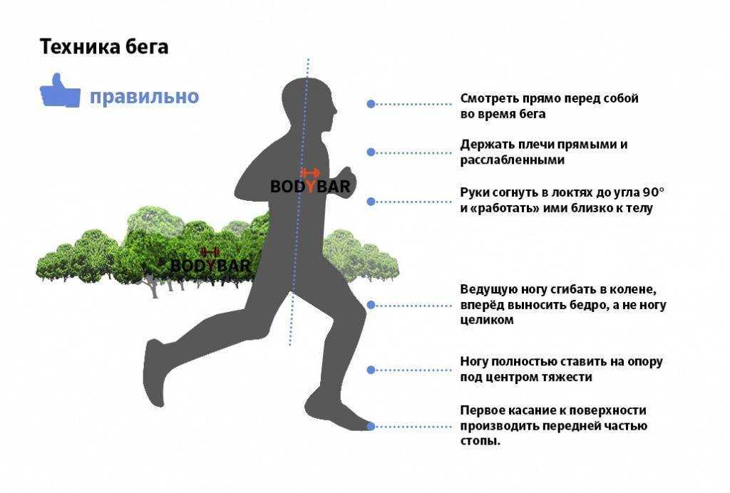 Бег по утрам: польза и вред утренней пробежки, как заставить себя бегать по утрам