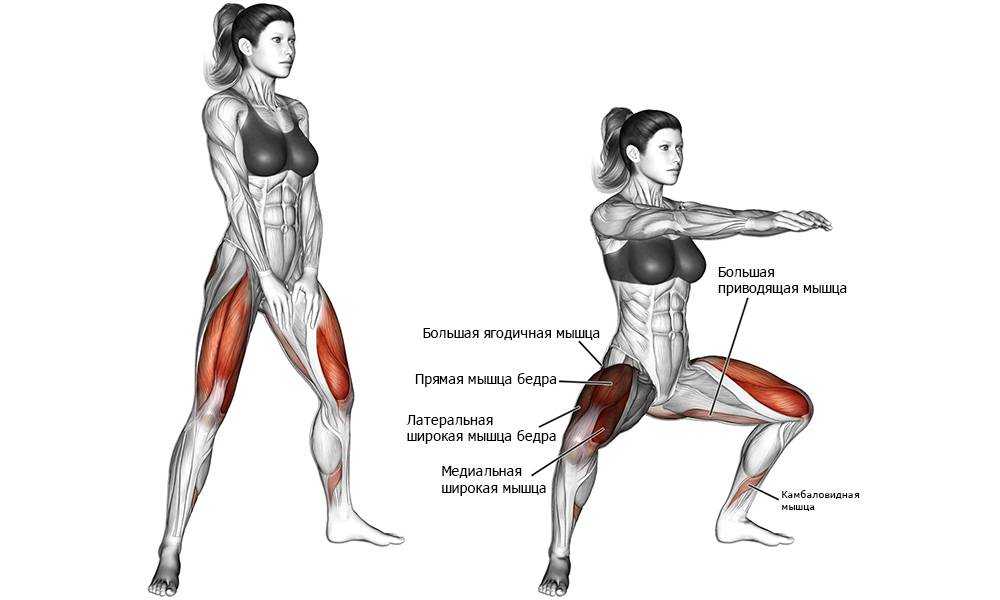 Приседания плие: какие мышцы работают, правильная техника упражнения