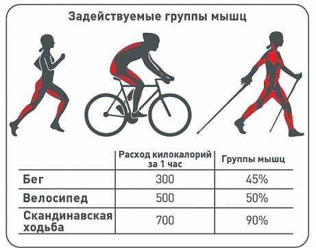 Велоезда и сжигание калорий