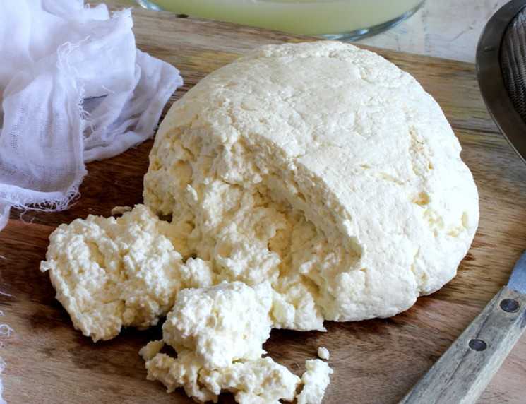 Сырники с рисовой мукой – 12 пп-рецептов с указанием кбжу
