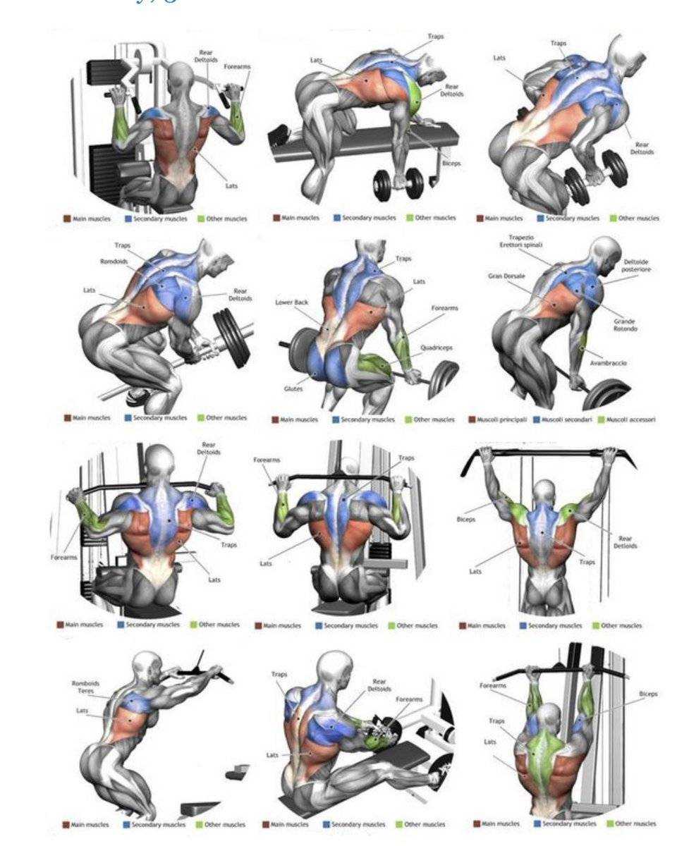 Упражнения в зале для грудных мышц мужчин. Силовые упражнения для спины. Упражнения на спину в тренажерном зале для мужчин. Тренировка плеч в тренажерном. Упражнения на спину и плечи в тренажерном зале.
