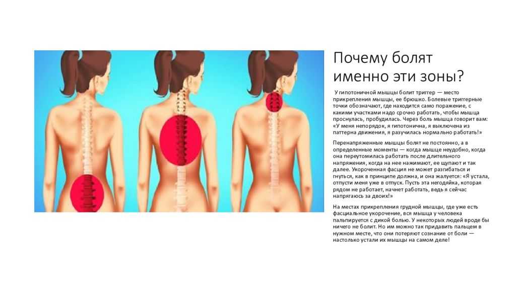 Норбеков – гимнастика для позвоночника видео, отзывы