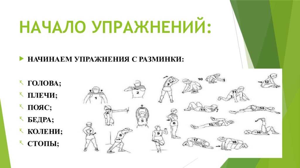 Комплекс любых упражнений. Разминка для гимнастики упражнения. Упражнения для разминки перед тренировкой. Упражнения для разминки перед тренировкой для детей. Комплекс упражнений для разминк.