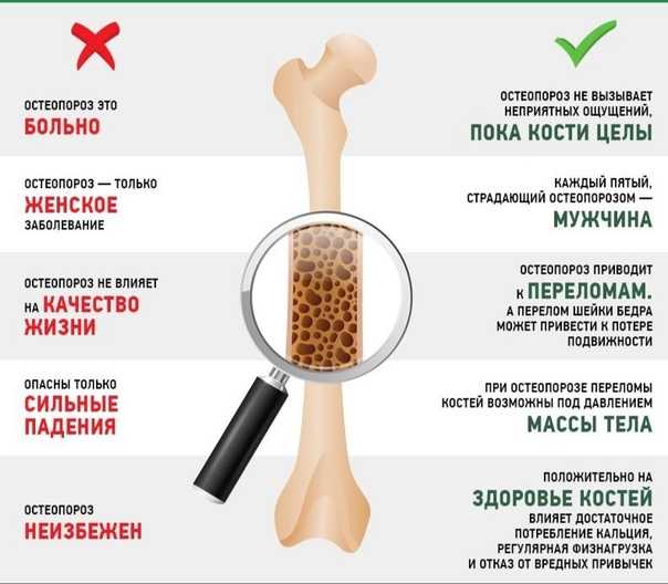 Щелочные продукты питания: список и таблица