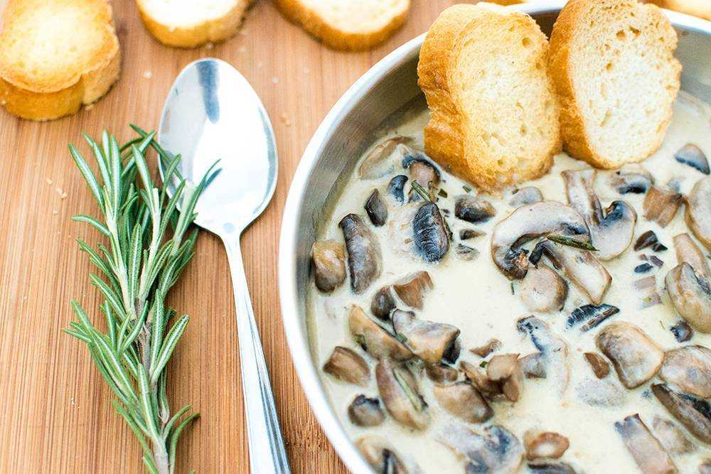 Грибной соус из свежих и замороженных грибов — рецепты приготовления