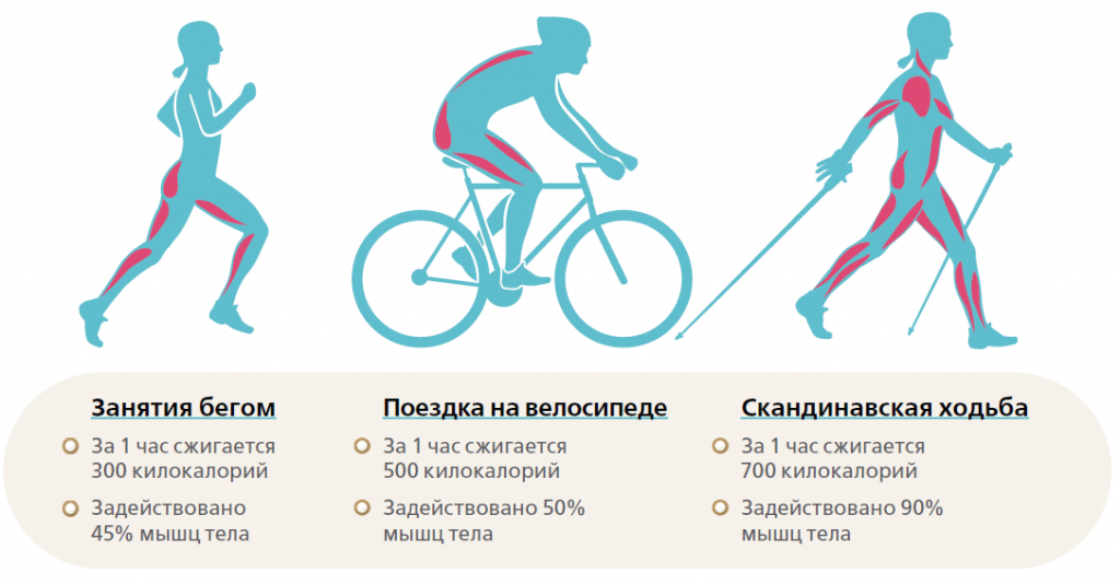 Как правильно ездить на велосипеде, чтобы похудеть? | pokatushkin.ru