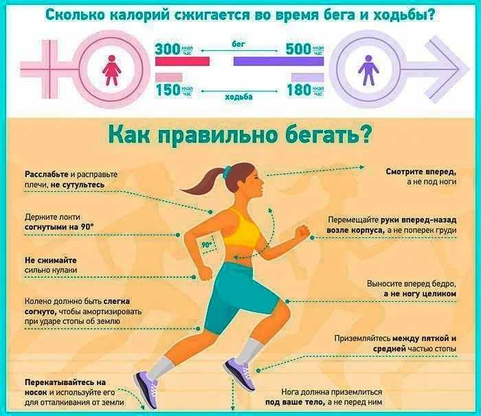 Бег или велосипед: выбираем лучший вариант