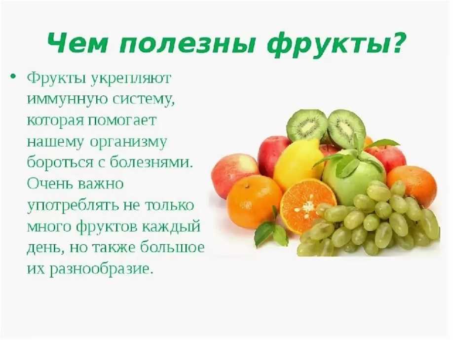 Что кушает ежик – список хороших и плохих продуктов