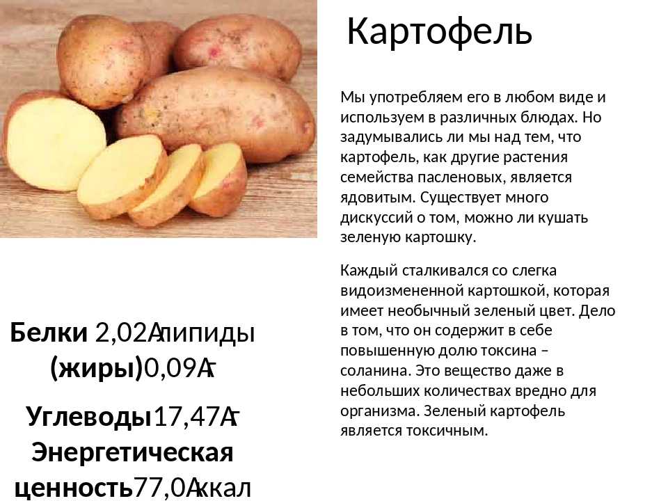 Сколько лет картошке. Сырой картофель. Полезные вещества в картофеле. Ест картошку. Жареная картошка ккал.