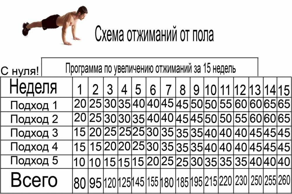 100 отжиманий