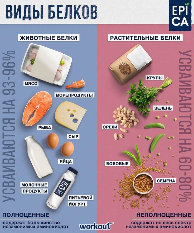 Пп сырники из творога – 10 рецептов приготовления с пошаговыми фото