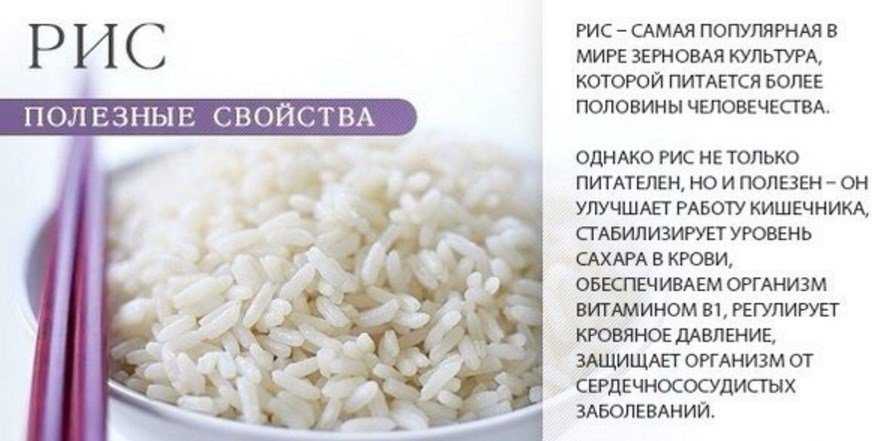Бурый рис — польза и вред для организма, как готовить, рецепты