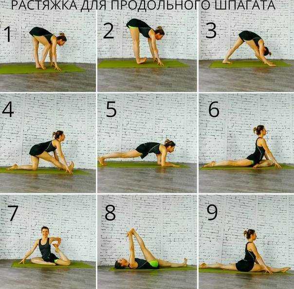 Продольный шпагат: 5 упражнений для начинающих, фото правильного шпагата