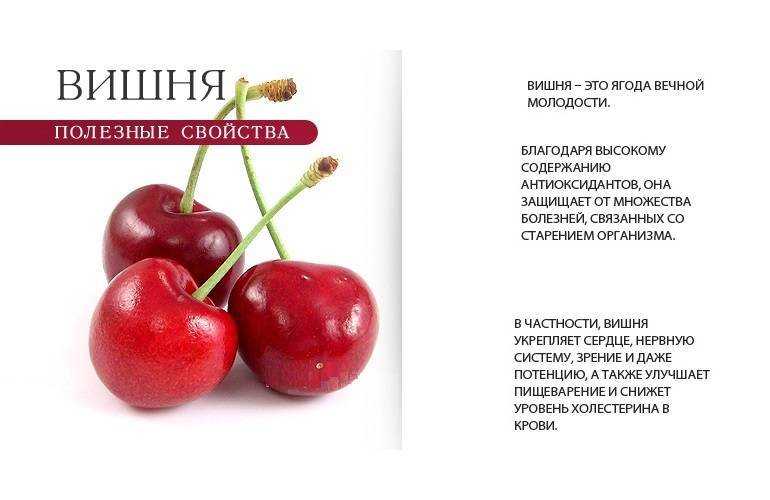 Черешня - калорийность, полезные свойства, польза и вред, описание - www.calorizator.ru