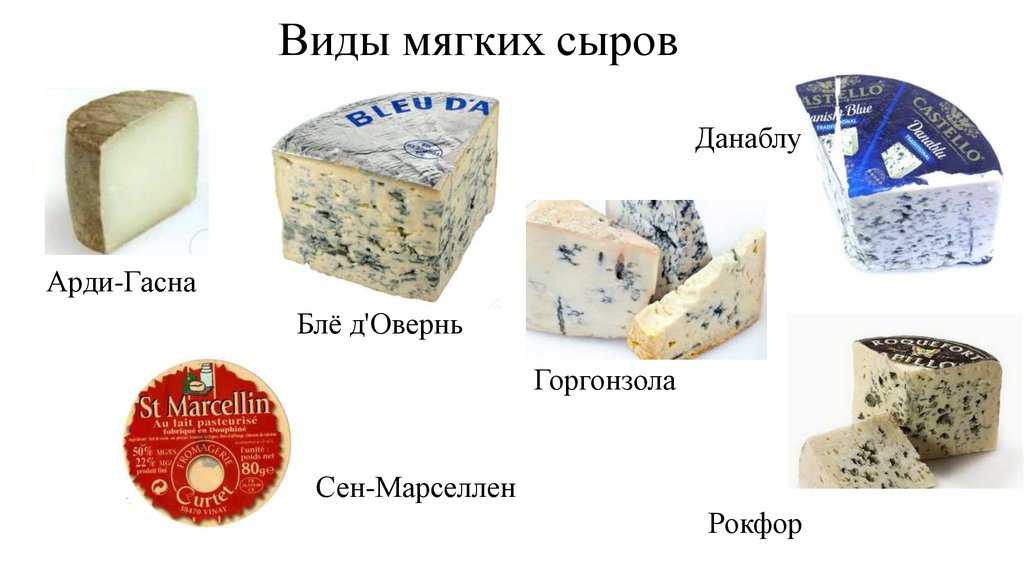 Виды сыров названия с фото