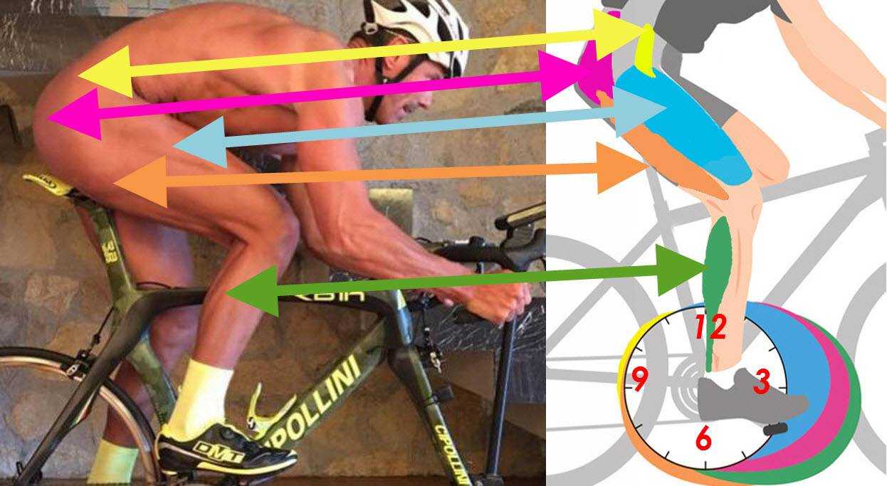 Как накачать мышцы при езде на велосипеде - всё о велоспорте