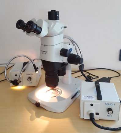 Обзор микроскопа SZX10