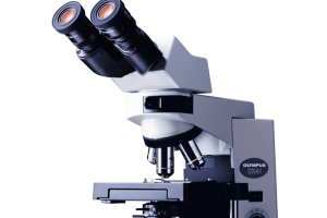 Применение микроскопа SZX10 в образовании