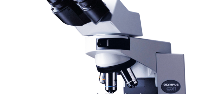 Применение микроскопа SZX10 в образовании